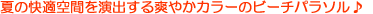 �p���\��